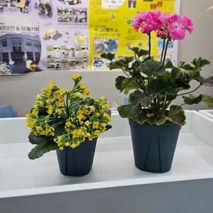 [콩심팥심]소형 슬릿화분 분갈이용 플라스틱 화분 식물 재배 그린 컬러