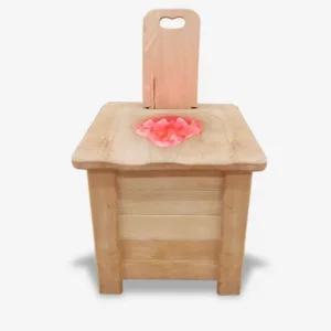 프로텍메디칼 프로힐링 암염 건식 좌욕기 PR-109 (WC820EE)