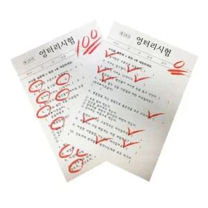 (KC인증)엉터리시험지 빵점이100점이되는마술교구 kc 인증 엉터리 시험지