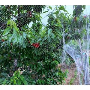 조류망 식물그물망 블루베리새망 농사용그물망 농사용