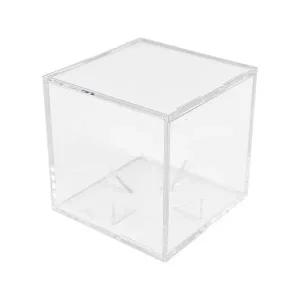 [하프클럽/셀러허브_여성트랜드패션]아크릴 야구공 스타 보관 WZ2003