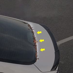 자동차 트렁크 씰 스트립 방수 방진 고무 후면 웨더 잎사귀 비 눈 먼지 방지 범용