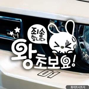 고품질 죄송합니다 왕초보요 초보자동차스티커 화이트 자동차스...