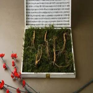 강원 진삼애 산양삼 7-8년근 5뿌리