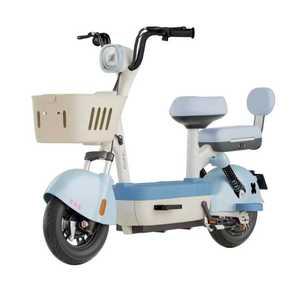 전동자전거 펫바이크 출퇴근 배달기사 스쿠터 장거리