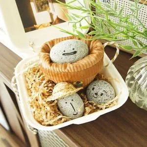 [MEL422N4_58]펫스톤 펫 돌 키우기 맹구돌 Dol