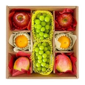 도담 프리미엄 4종 과일선물세트 4호(사과+샤인머스켓+애플망고+자몽)