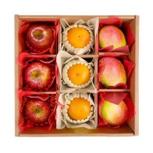 도담 프리미엄 3종 과일선물세트 4호(애플망고+자몽+사과)