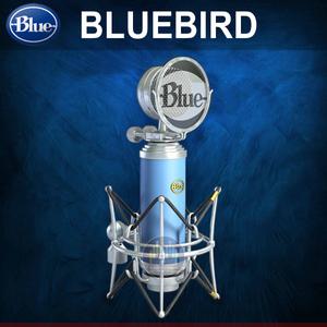 [Blue BLUEBIRD] 블루버드 스튜디오 콘덴서 마이크