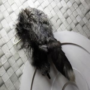 30%특가세일~명품 진도(JINDO 정품)천연폭스 여우목도리 숄 머플러 목도리 파티 특별한날의 모임 런웨이패