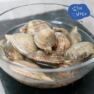 [남해바다] 바지락 1kg