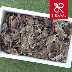 제철 활 돌게 1kg 생물 냉동 박하지 민꽃게 돌게장용