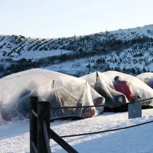 비닐쉘터 소 중 대 겨울산행 등산용 캠핑용 자동차커버
