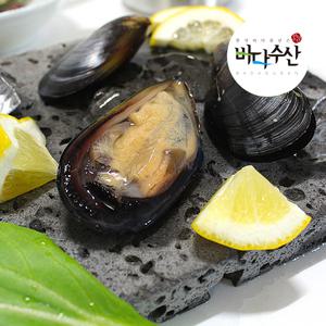 (바다수산) 당일 작업한 싱싱한 홍합5kg(육수용)