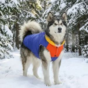 중형견 패딩 대형견패딩 대형견옷 중형견옷