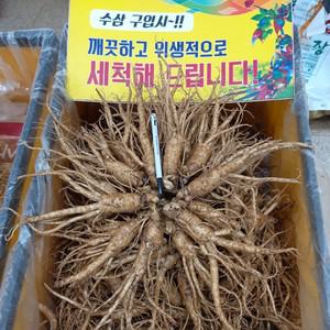 금산인삼 삼마이스터 5년근 6년근수삼 인삼주 삼계탕 난발삼750g