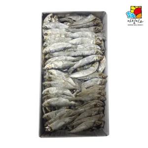 디포리 1.5kg 수입