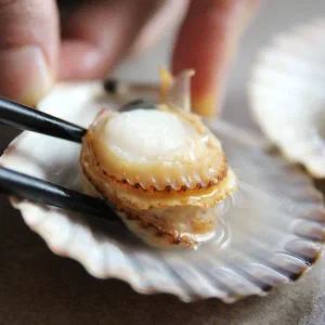 [맛군]제철 통영 당일조업 싱싱한 홍가리비 2kg (kg당 20-22미내외)