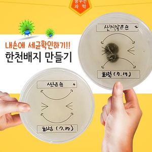 일반세균검사 화성과학사 스티커포함 10인 배지만들기 HSS 한천배지 세균검사