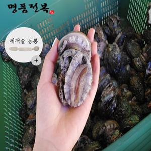 완도 꼬마 활전복 40-50미 1kg[손질솔 동봉]