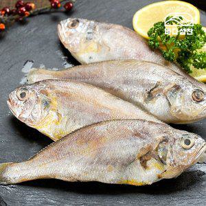 [바다성찬]영광법성포 굴비 1kg내외 20미 (알치)