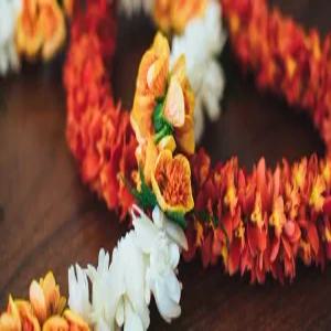 오아후 | 마우이 | 빅아일랜드 금까기