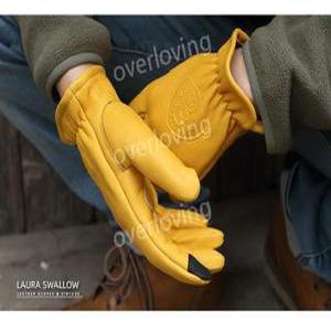 Caiman 1304-4 안감 장갑 가죽 없는 골드 M 운전자