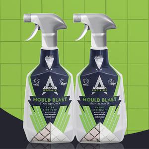 (기한26.7.23) 아스토니쉬 곰팡이 제거 클리너 750ml 2개 재발방지 포자까지 완벽제거
