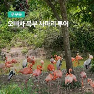 [푸꾸옥] 고스트트래블 오빠차 북부 사파리 마사지 90분 포함 단독투어