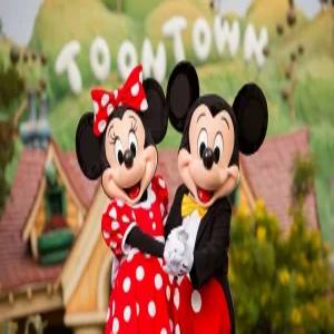 도쿄3,4일 [4명부터출발확정] 세미팩/프라이빗데이투어/디즈니랜드