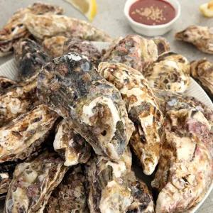 [롯데백화점]오초록 [바다담음] 통영 석화(각굴) 3kg