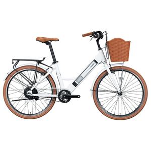 알톤 이노젠 전기자전거 실속형 17년형 미조립