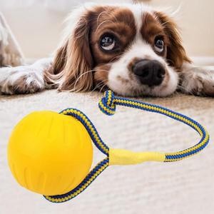 (반려)애견 훈련 폼볼로프 터그공 로프공 탱탱볼 애완견 장난감