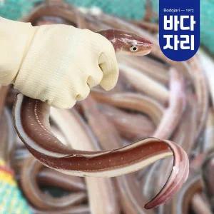 [바다자리]자연산 통영 손질 바다장어 대 600g 내외 (2-4마리)