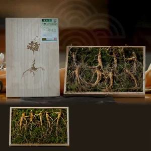 강원도 치악산 산양삼 국내산 자연산 건강 선물 사포닌 산양 삼 산삼 인삼 수삼 산양산삼 1세트