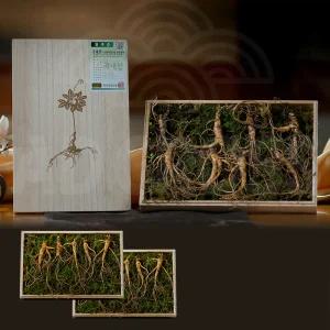 강원도 치악산 산양삼 국내산 자연산 건강 선물 사포닌 산양 삼 산삼 인삼 수삼 산양산삼 2세트