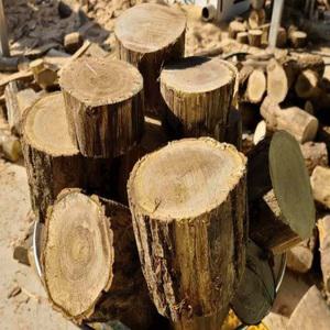 다미야 캠핑용 통목 장작 20KG