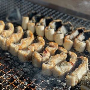 고창 풍천 자포니카 민물 장어 구이 손질 캠핑 양념 450g+초생강+소스2종