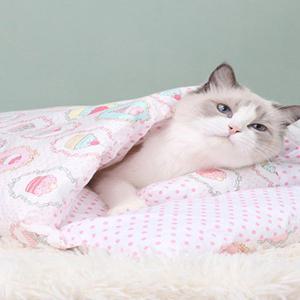 식 고양이 이불 숨숨집 고양이케 케 숨숨 애완쿠션 원목 큐션 침낭 겨울 나무