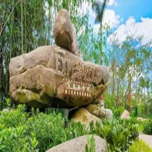 [홍콩4일] 디즈니 익스플로러스 로지 + 디즈니이용권