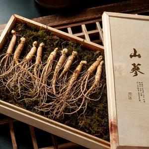 프리미엄 산양산삼 A급 6-7년 10뿌리 선물세트 (편백+보자기포장)