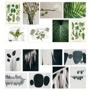 이케아 장식용 카드 8개 세트 13x18 벡스보