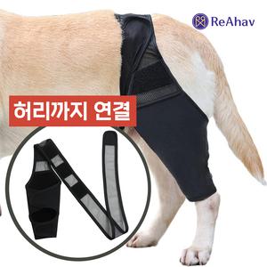 쓸개골 탈구 강아지슬개골 보호대 고관절 척추 보조기 무릎 앞다리 보조기 애견 디스크 뒷다리 모션서포트