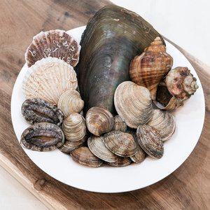 갤러리아 [오늘의바다] 모둠조개구이 대박7종 총 2.5kg내외