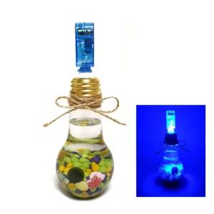 마리모 키우기 전구 조명 어항 만들기/미니/기르기/수경/식물/재배/용품/세트/가정용/소형/장식/수족관