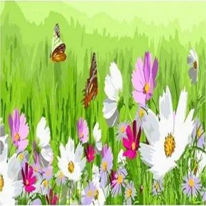 피포페인팅 CZ01 춤추는코스모스 대형 120x40 DIY명화그리기 DIY그림그리기