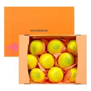 산지직송 명품제주 프리미엄 황금향 선물세트 2.5kg 대과
