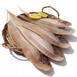 생선 생선구이 군산 반건조생선 반건조 특 냉동생선 박대 5미