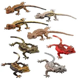 생물대도감 도마뱀 아르마딜로 게코 렙티 대도감 미니 어드밴스 모형 케이스 피규어 파충류