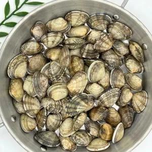 싱싱하게 살아서 도착 활 생물 바지락 1kg